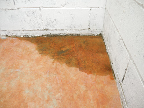 Plumbing services in Belchertown, MA