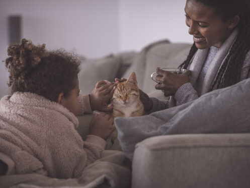 A mother and daughter with their pet cat in Belchertown, MA