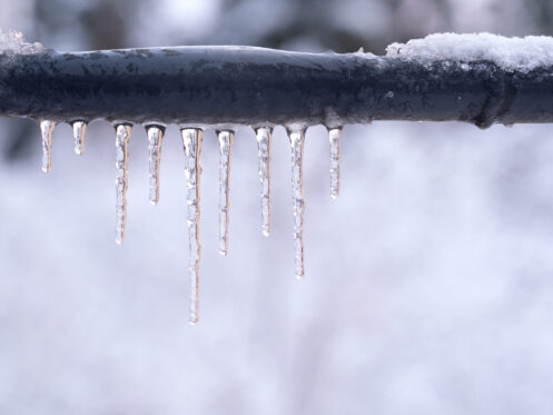 A frozen, bulging pipe in a Belchertown winter.
